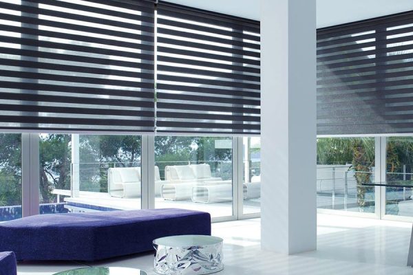 Vision Blinds