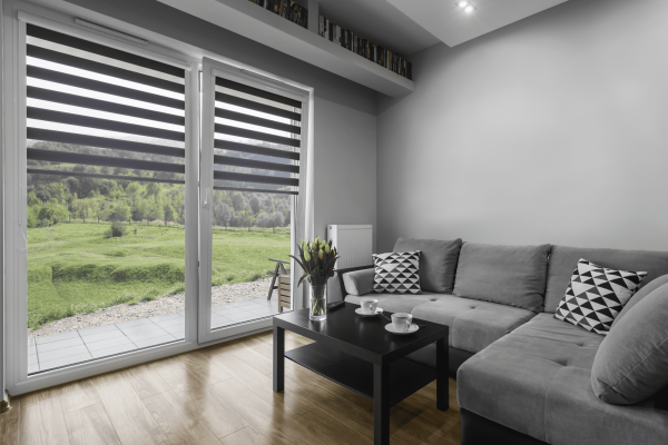 Vision Blinds